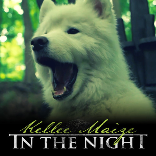 Kellee Maize — In the Night (Game of Thrones Remake) cover artwork