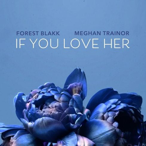 Forest Blakk featuring Meghan Trainor — If You Love Her cover artwork
