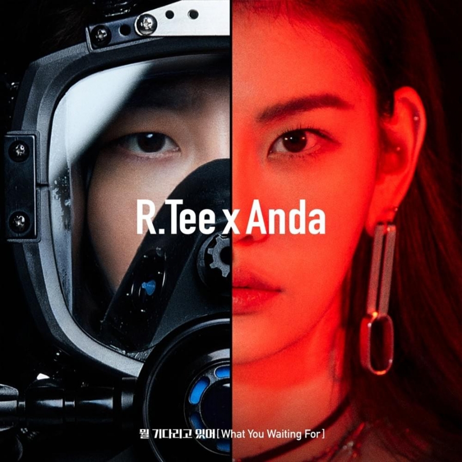 R.Tee & Anda What You Waiting For cover artwork