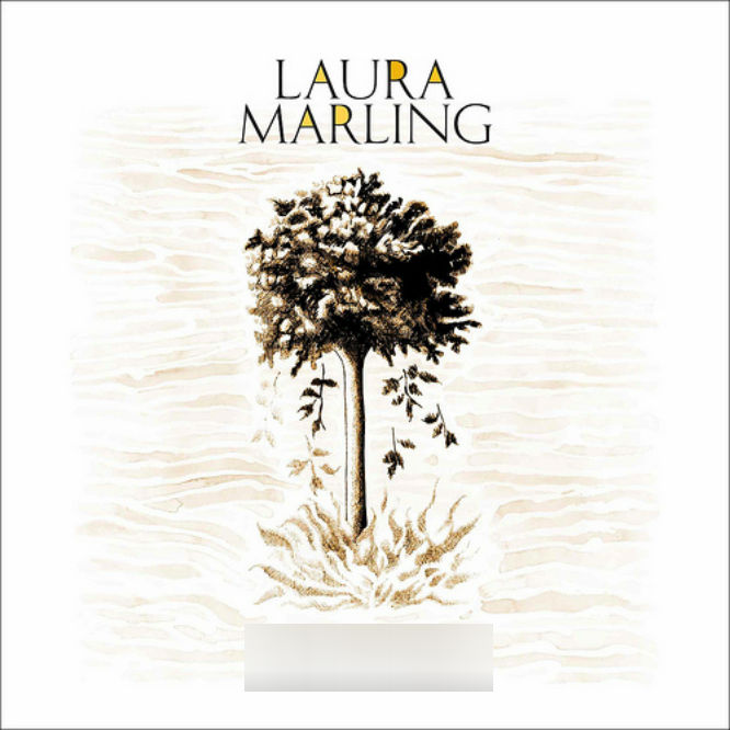 Laura Marling — Devil&#039;s Spoke cover artwork