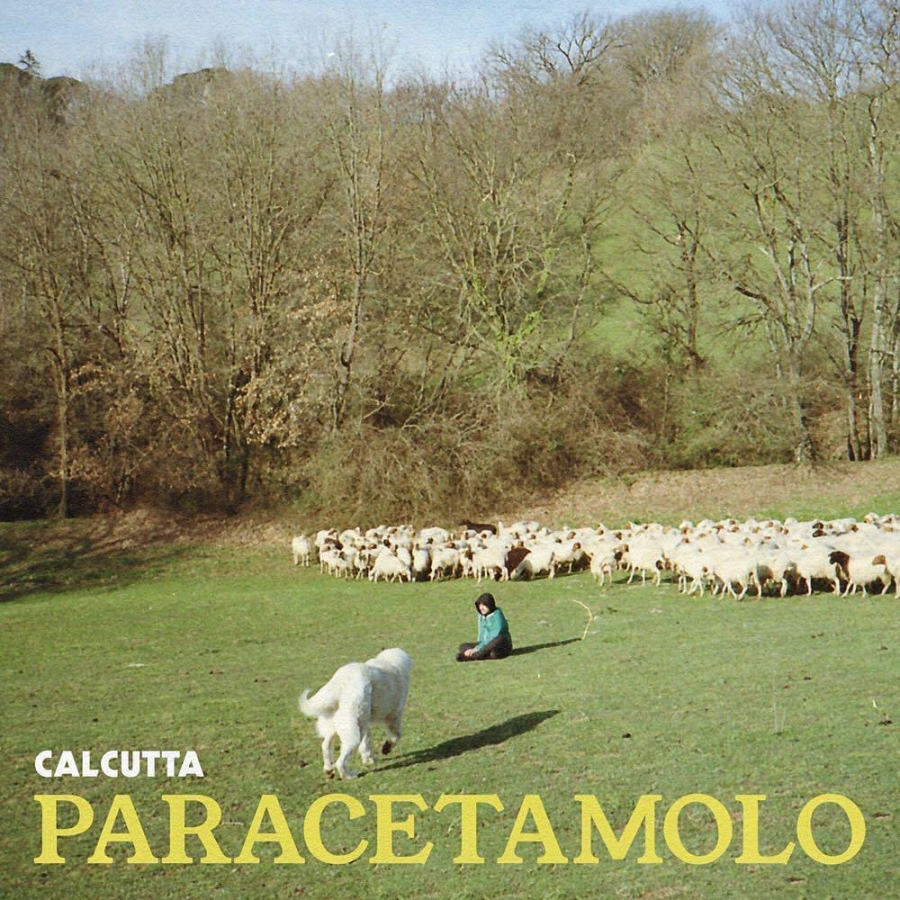 Calcutta Paracetamolo cover artwork