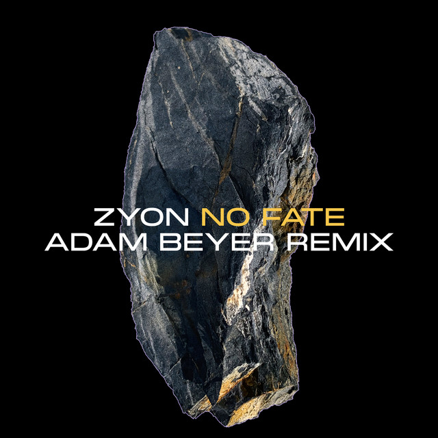Zyon — No Fate (Adam Beyer Remix) cover artwork