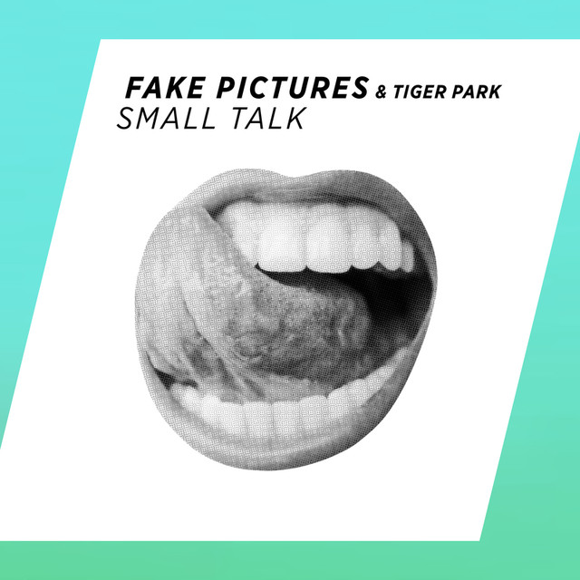 Fake Pictures & Tiger Park Small Talk cover artwork