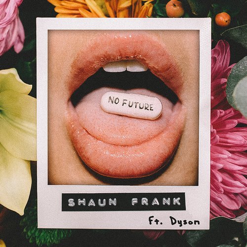 Shaun Frank ft. featuring Dyson No Future cover artwork