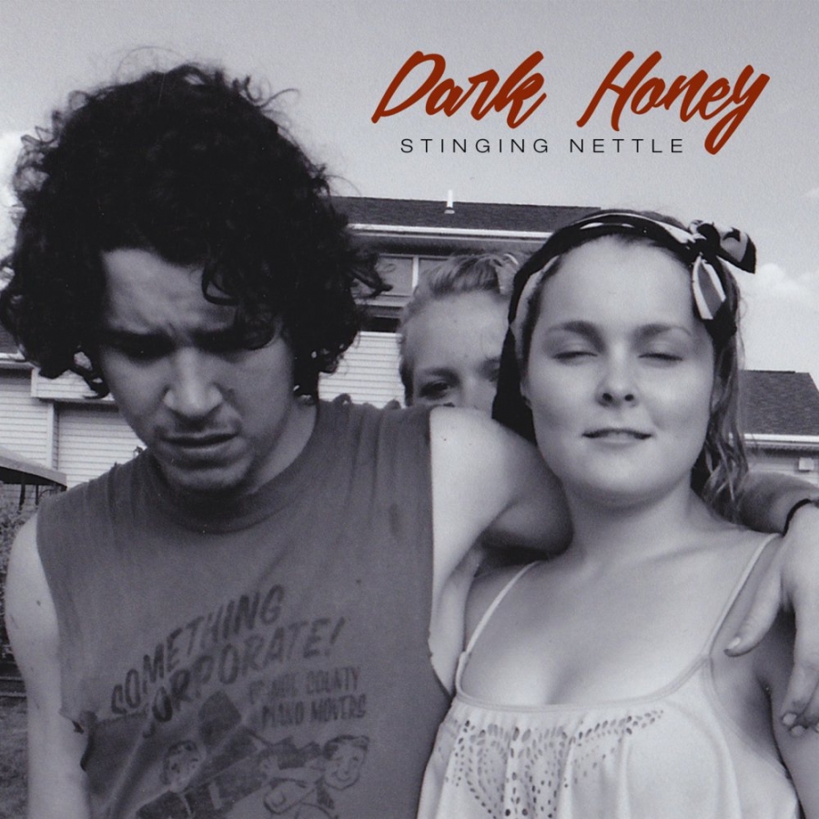 Dark Honey Stinging Nettle cover artwork