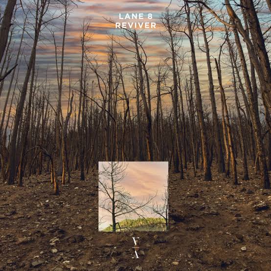 Lane 8 — Reviver cover artwork