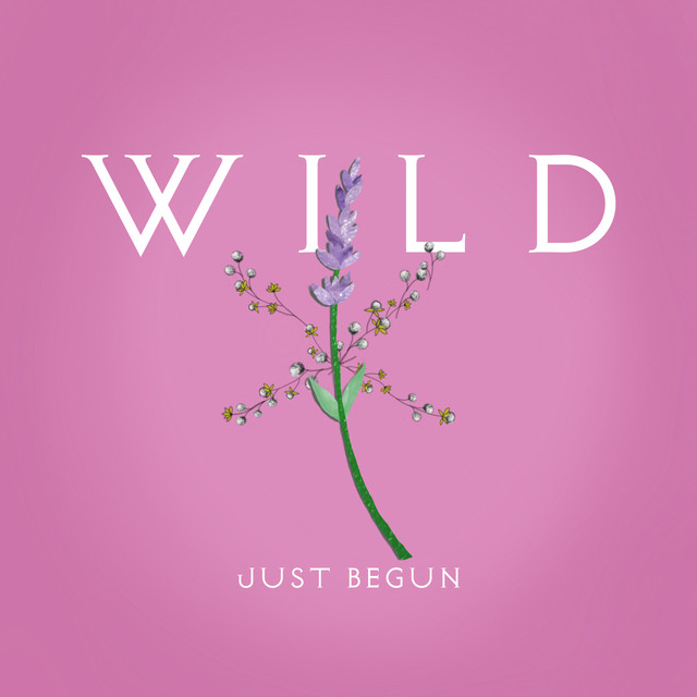 WILD — Just Begun cover artwork