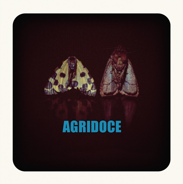 Agridoce — Upside Down cover artwork