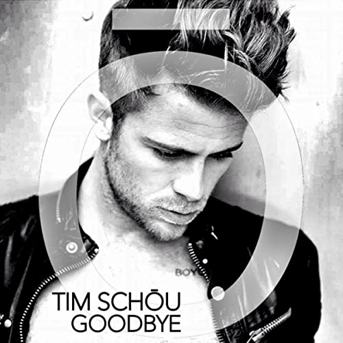 Tim Schou — Goodbye cover artwork