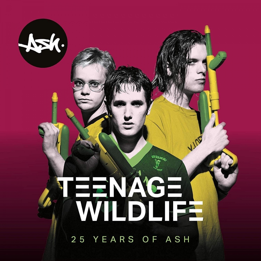 Ash Teenage Wildlife: 25 Years of Ash cover artwork