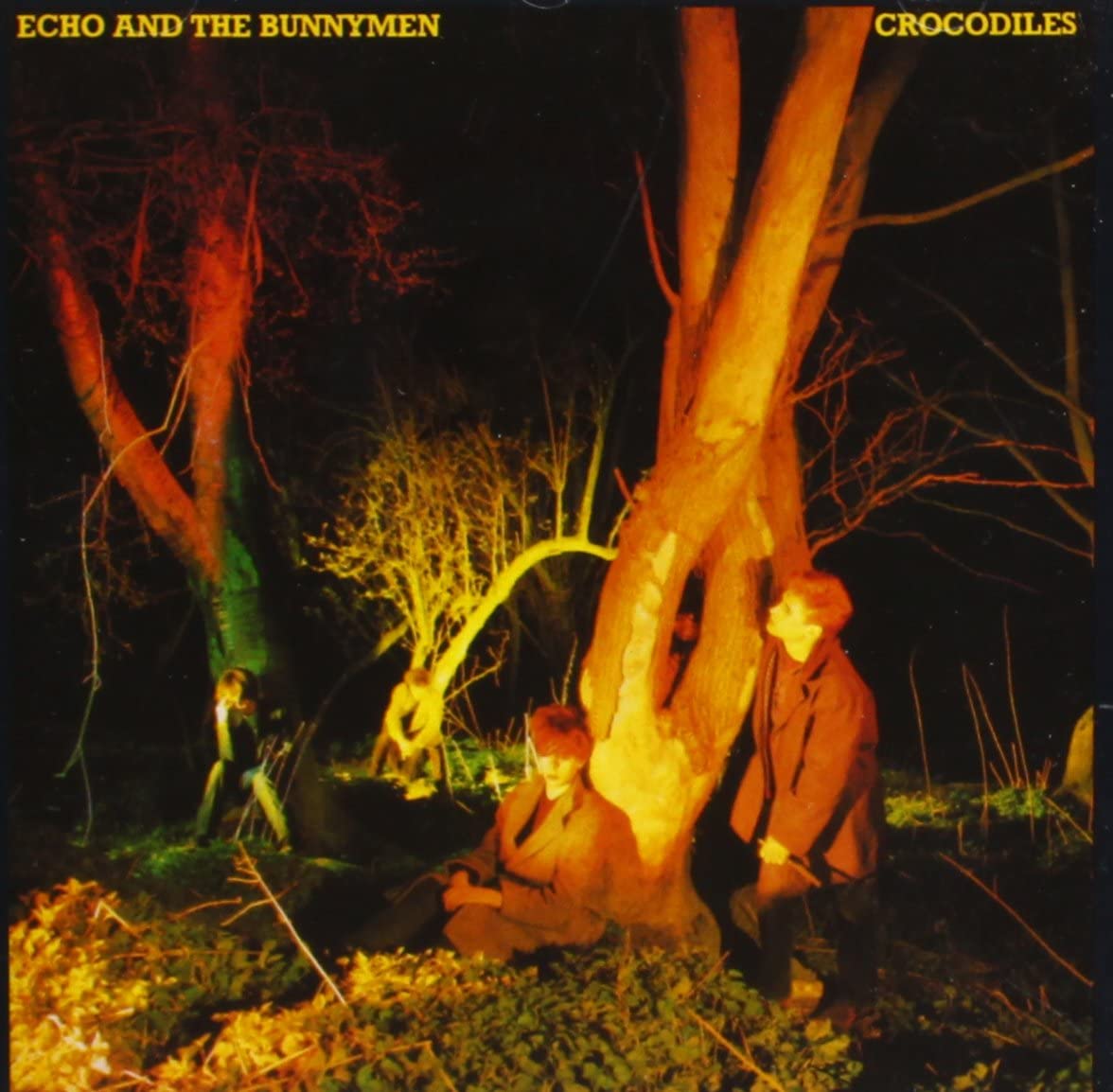Echo &amp; the Bunnymen — Crocodiles cover artwork