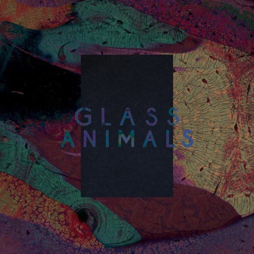 Glass Animals — Black Mambo cover artwork