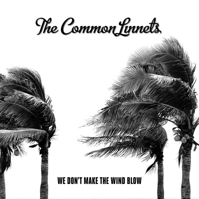 The Common Linnets — We Don&#039;t Make the Wind Blow cover artwork