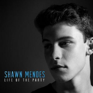 Shawn Mendes Life of the Party cover artwork