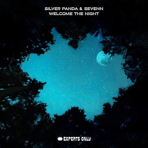 Silver Panda & Sevenn — Welcome The Night cover artwork
