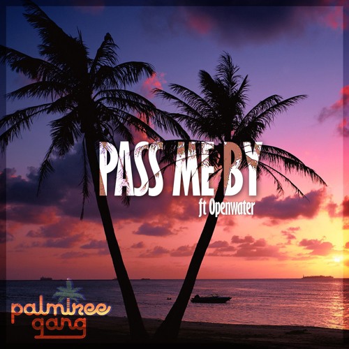 Palm Tree Gang featuring Openwater — Pass Me By cover artwork