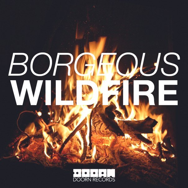 Borgeous — Wildfire cover artwork