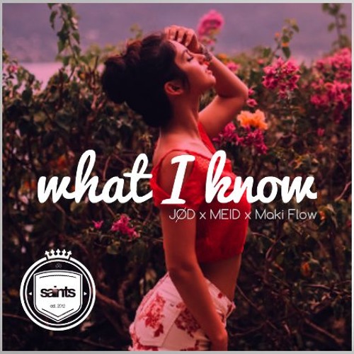 JØD & MEID featuring Maki Flow — What I Know cover artwork