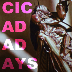 Will Wood — Cicada Days cover artwork