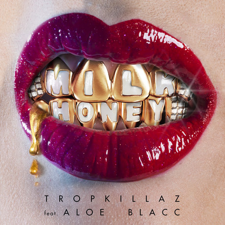 Tropkillaz featuring Aloe Blacc — Milk &amp; Honey cover artwork