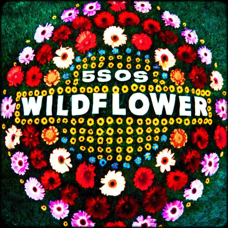 5 Seconds of Summer — Wildflower cover artwork