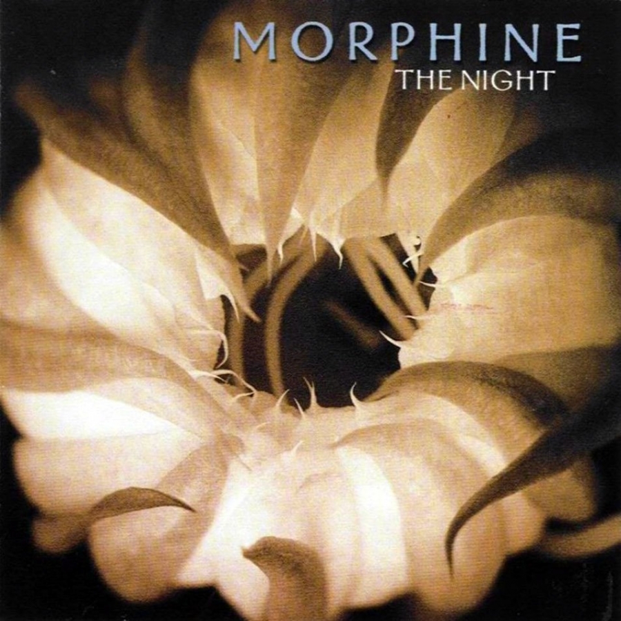 Morphine The Night cover artwork