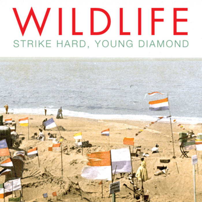 Wildlife Strike Hard, Young Diamond cover artwork