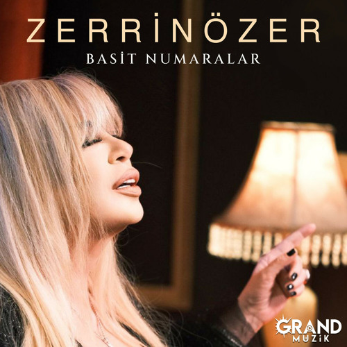 Zerrin Ozer — Basit Numaralar cover artwork