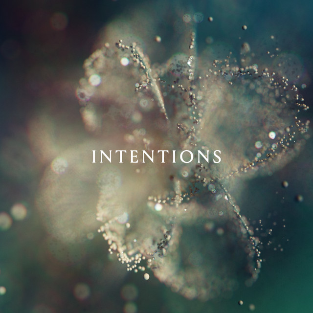 ANNA Intentions cover artwork