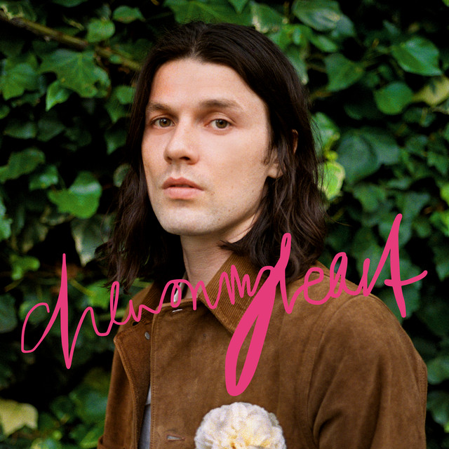 James Bay — Chew On My Heart cover artwork