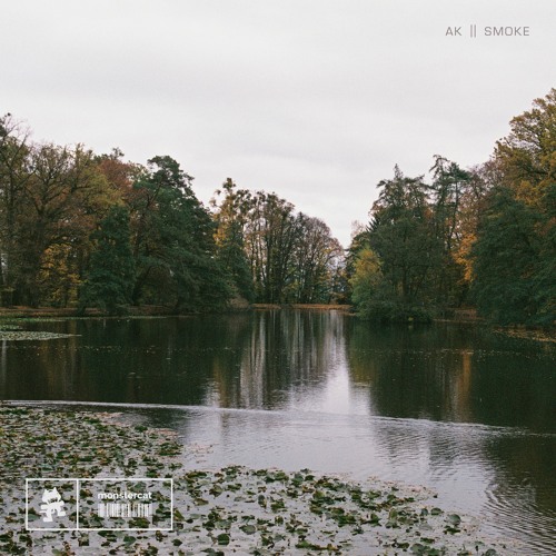 AK — Smoke cover artwork