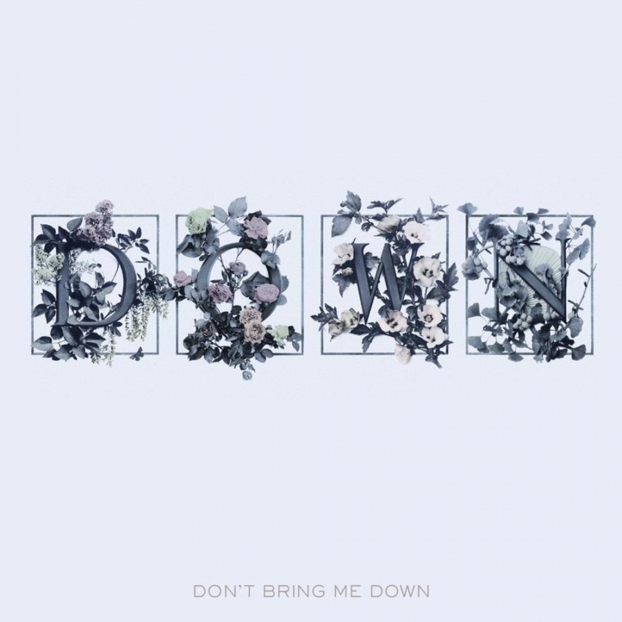 Sia — Don&#039;t Bring Me Down cover artwork