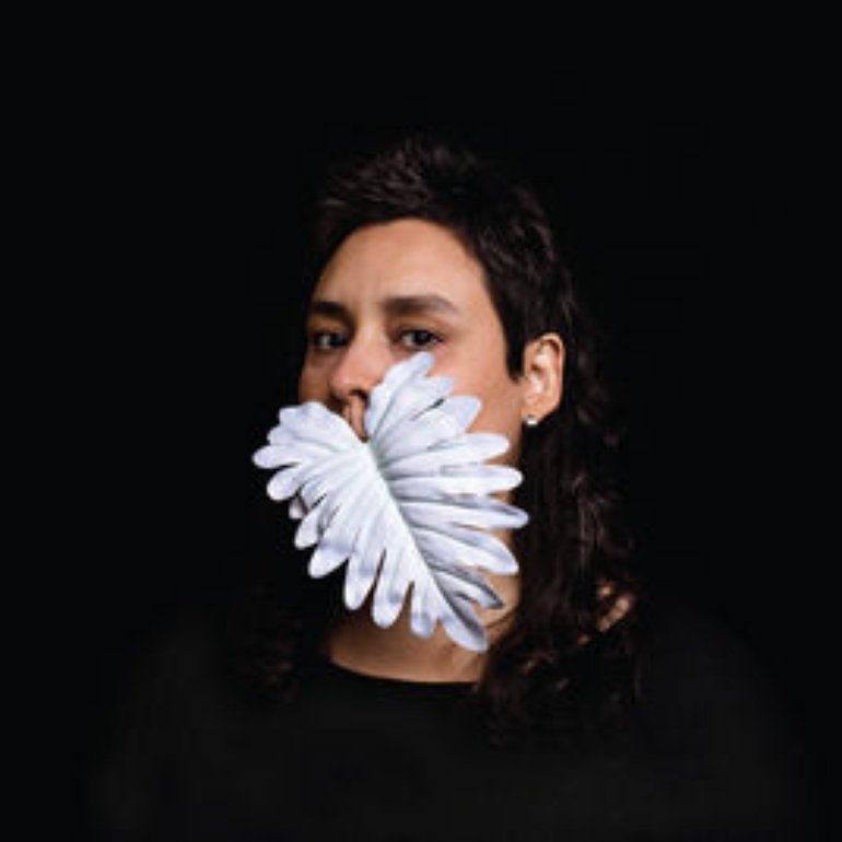Juliana Perdigão — Nocturno o Violeiro cover artwork