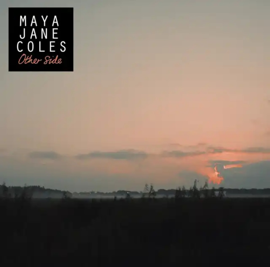 Maya Jane Coles — Other Side cover artwork