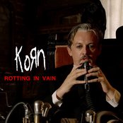Korn Rotting In Vain cover artwork