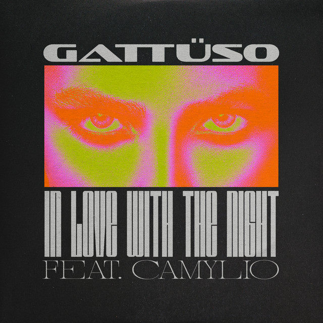 GATTÜSO ft. featuring Camylio In Love With The Night cover artwork