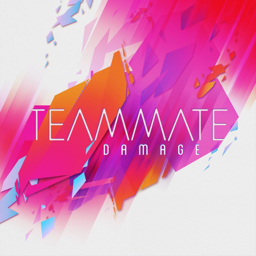 TeamMate — Damage cover artwork