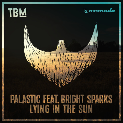 Palastic featuring Bright Sparks — Lying In The Sun cover artwork