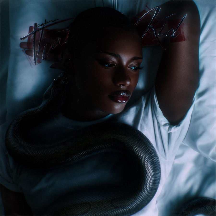 That Kid — Cobra cover artwork