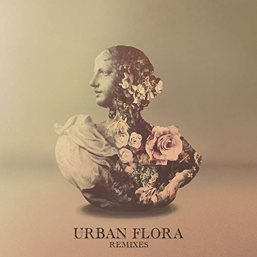 Alina Baraz Urban Flora (Remixes) cover artwork