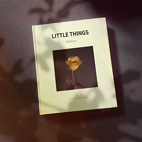 Sophiya — Little Things cover artwork