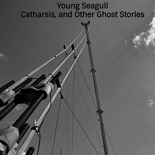 Young Seagull Catharsis, and Other Ghost Stories cover artwork