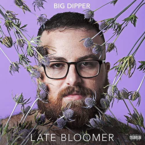 Big Dipper — Thiccness cover artwork