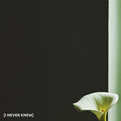 Ben Jordan ft. featuring Krojc I Never Knew cover artwork