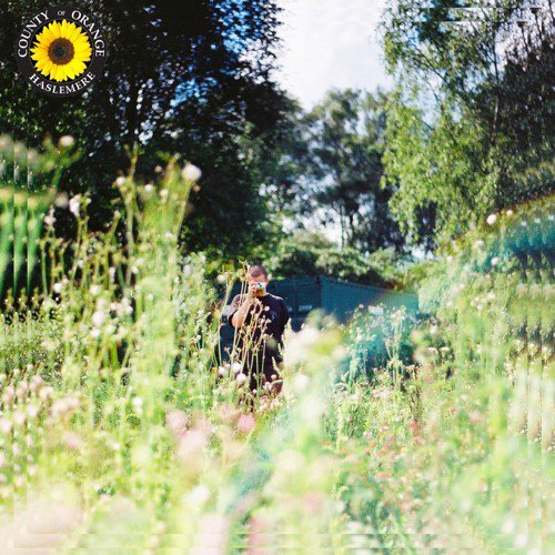 Rex Orange County Sunflower cover artwork