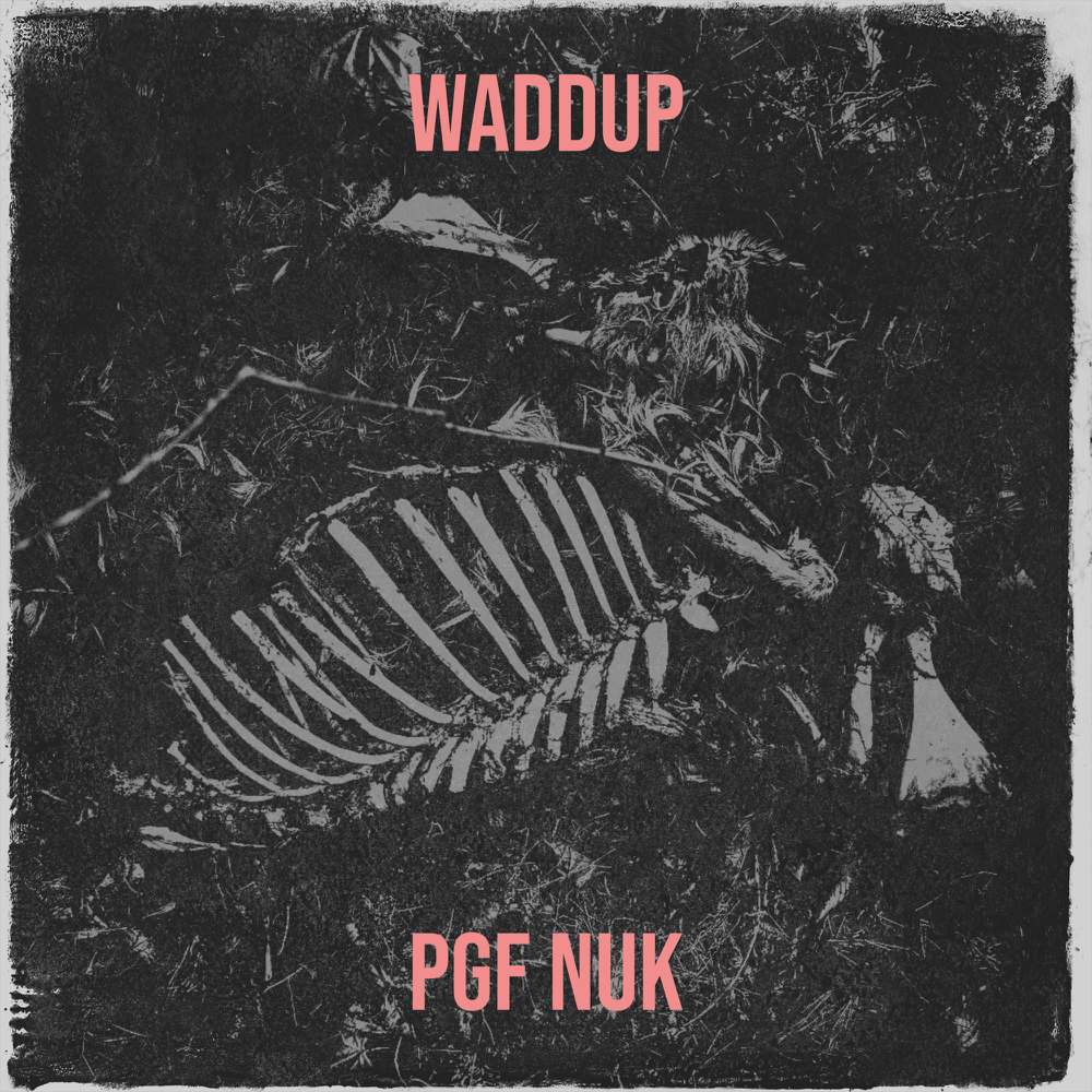 PGF Nuk — Waddup cover artwork