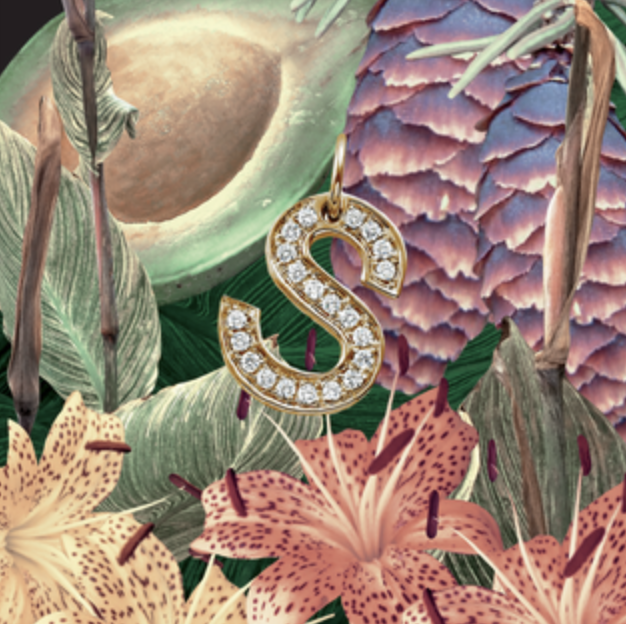 SZA — S cover artwork