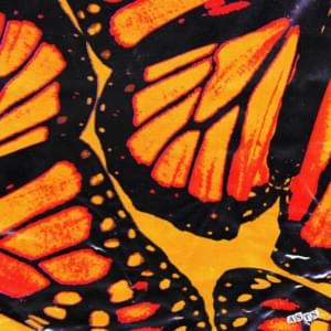 ASTN — Butterflies cover artwork