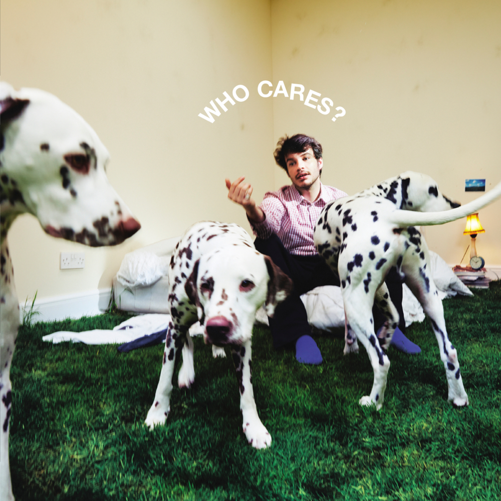 Rex Orange County — WHO CARES? cover artwork
