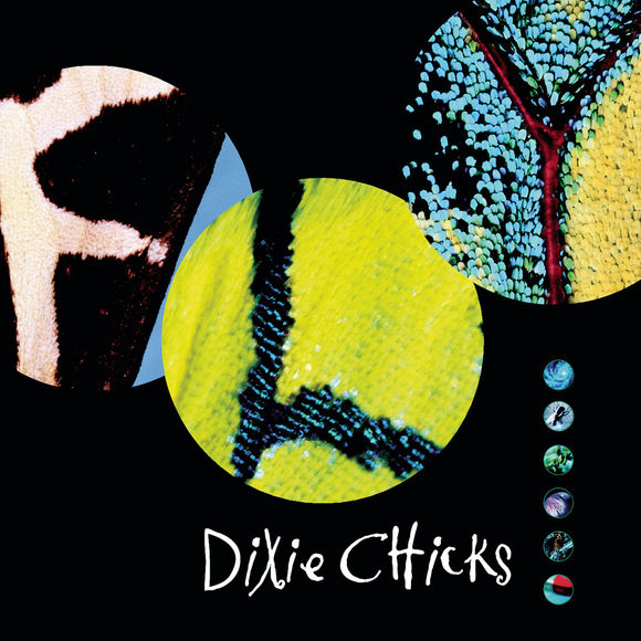 The Chicks — Fly cover artwork